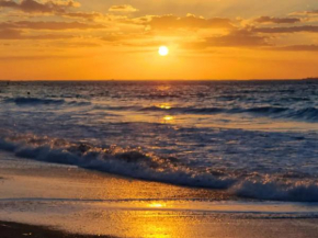 Luxury Apartment and Sandy Private Beach